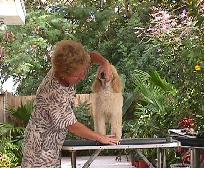 Linda Sciacca