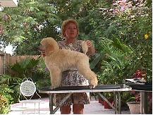 Linda Sciacca